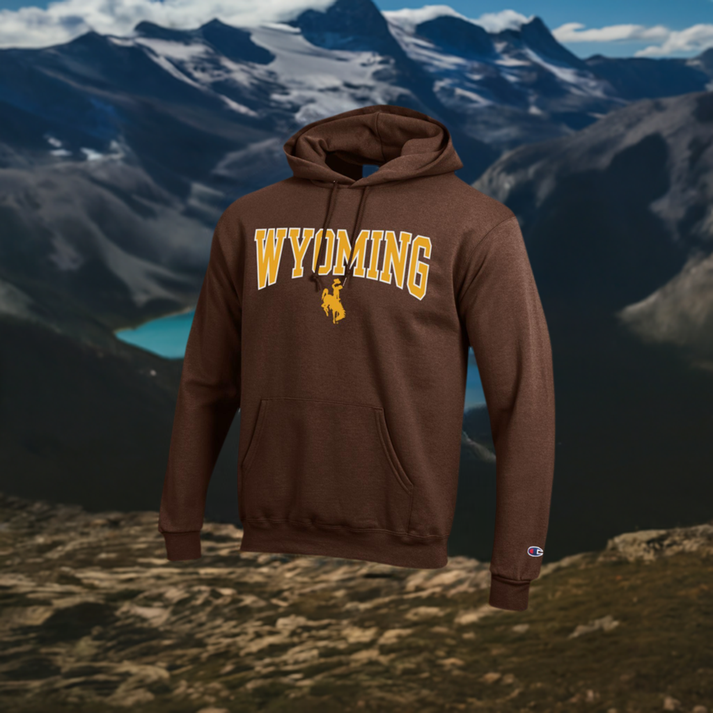 Wyoming Hooded sweatshirt Brown